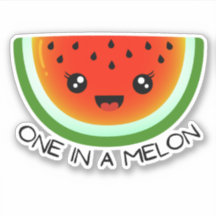 Funny fruit pun one in a melon laptop water bottle