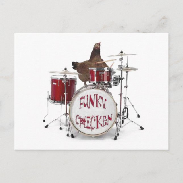 Funny Funky chicken Postcard (Front)