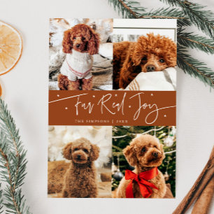 Funny Fur Real Joy Dog Photo Terracotta Christmas Holiday Card