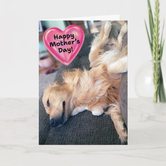Funny Furry Golden Retriever Mother's Day Card (Front)