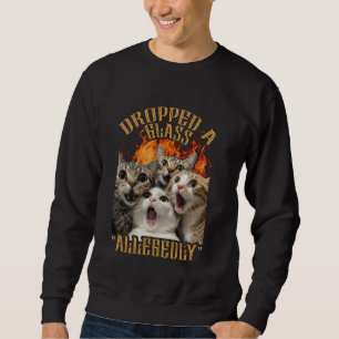 Funny GenZ Cat Meme Cat Dropped Glas Allegedly Sweatshirt