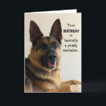 Funny German Shepherd Birthday Card<br><div class="desc">Funny German Shepherd birthday card for anyone! This card is customizable with your personalized message.</div>