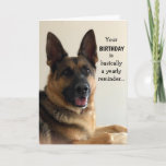 Funny German Shepherd Birthday Card<br><div class="desc">Funny German Shepherd birthday card for anyone! This card is customizable with your personalized message.</div>