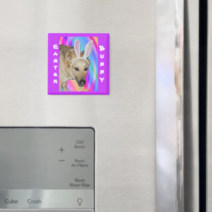 Funny German Shepherd Dog & Easter Bunny Ears Magnet