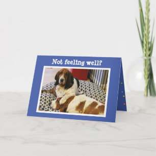 Funny "Get Well" Card w/Cute Basset Hounds