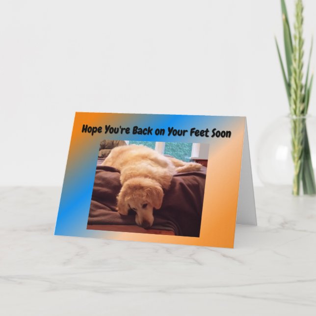 Funny Get Well Card with Golden Retriever (Front)