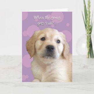 Funny Get Well / Penser à votre carte