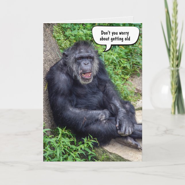 Funny Getting Old Birthday Chimpanzee Card (Front)