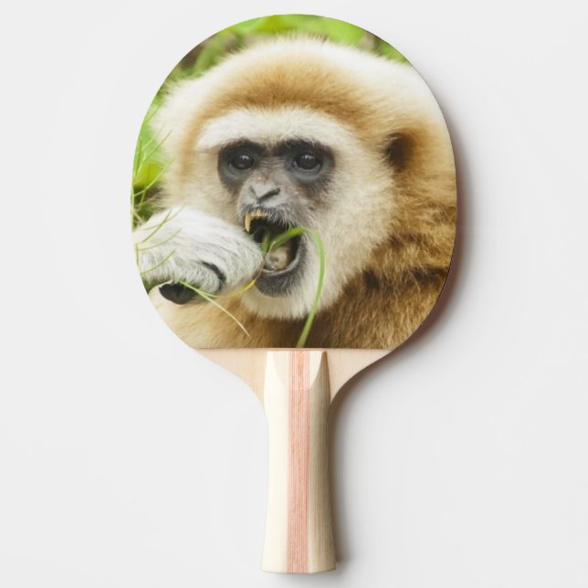 Funny Gibbon Animal Photo Ping Pong Paddle (Front)