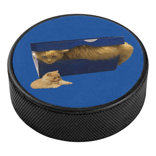Funny Ginger Cat In A Shoe Box, Hockey Puck (3/4)