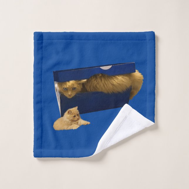 Funny Ginger Cat In A Shoe Box, Wash Cloth (Wash Cloth)