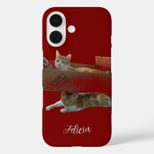 Funny Ginger Cats , Customizable Image And Photo iPhone 16 Case