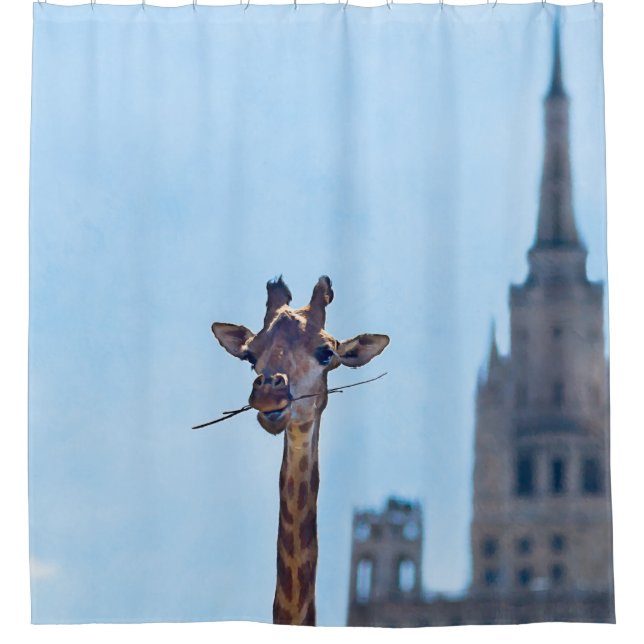 Funny Giraffe (Front)