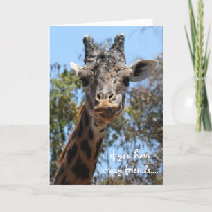 Funny Giraffe Card, friends are everything! Card