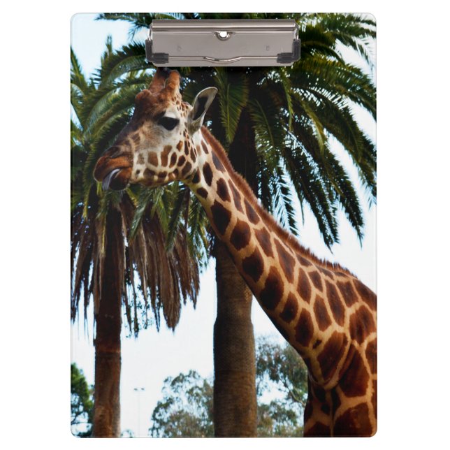 Funny Giraffe Giving A Raspberry, Clipboard (Front)