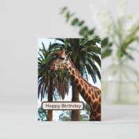 Funny Giraffe Giving A Raspberry,