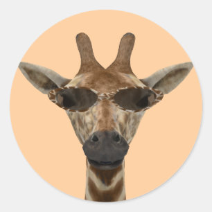 Funny Giraffe Incognito With Trendy Sunglasses Classic Round Sticker