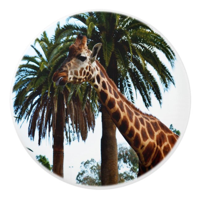 Funny Giraffe Poking Out Tongue, Ceramic Knob (Front)
