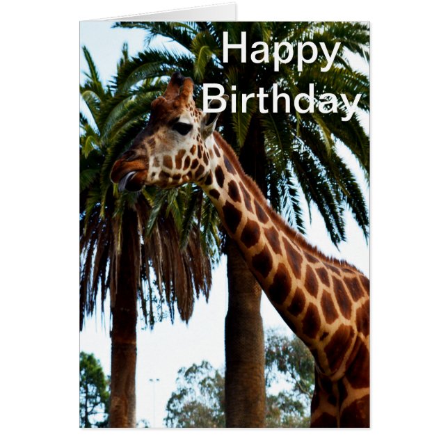 Funny Giraffe Raspberry, Birthday Card (Front)