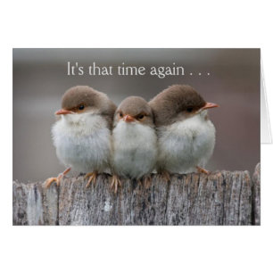 Funny Girls Night Out Card