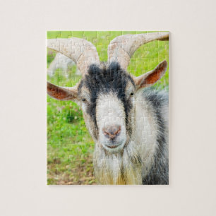 Funny GOAT 2027 New Year Photo Jigsaw Puzzle