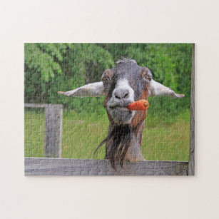 Funny Goat And Carrot Jigsaw Puzzle