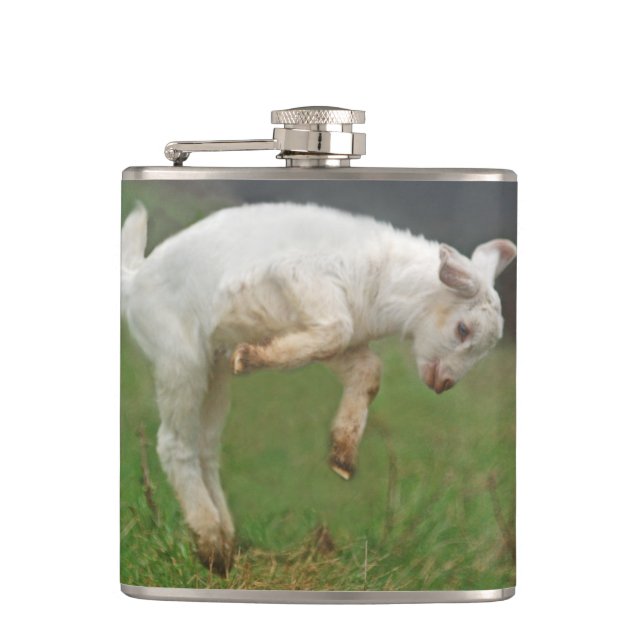 Funny Goat Baby White Goat Jumping in Pasture Hip Flask (Front)