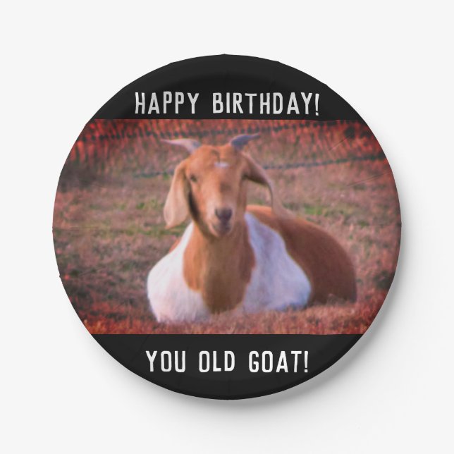 Funny Goat Birthday Paper Plate (Front)