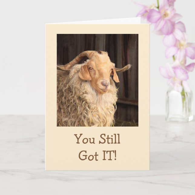 Funny Goat Handsome Devil Birthday Card (Orchid)
