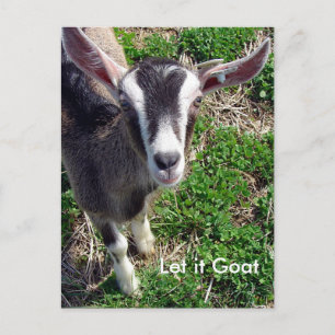 Funny Goat Parody Postcard