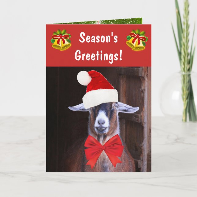 Funny Goat Season's Greetings Holiday Card (Front)