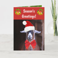 Funny Goat Season's Greetings