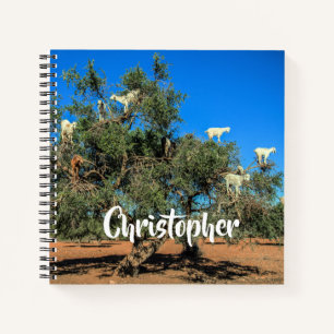 Funny Goats in Trees Morocco Personalized Name Notebook