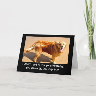 funny golden retriever card