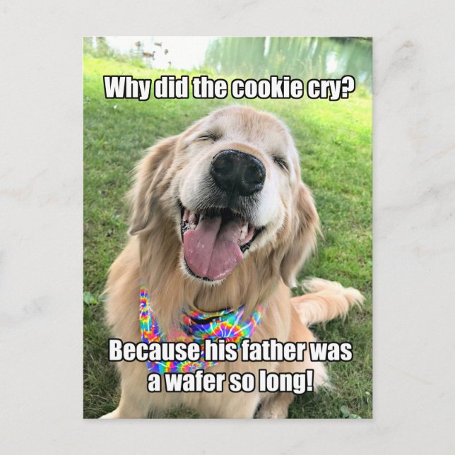 Funny Golden Retriever Cookie Joke Mème carte post (Devant)