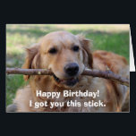 Funny Golden Retriever Dog Humour Happy Birthday<br><div class="desc">Dog humour,  happy birthday card featuring a silly golden retriever holding a stick,  with funny quote "Happy Birthday! I got you this stick."</div>