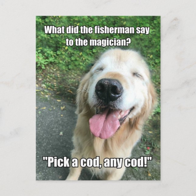 Funny Golden Retriever Fisherman Joke Meme Postcard (Front)