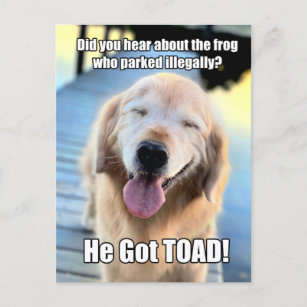 Funny Golden Retriever Frog Joke Meme Postcard