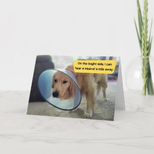 Funny Golden Retriever in Cone Get Well Card
