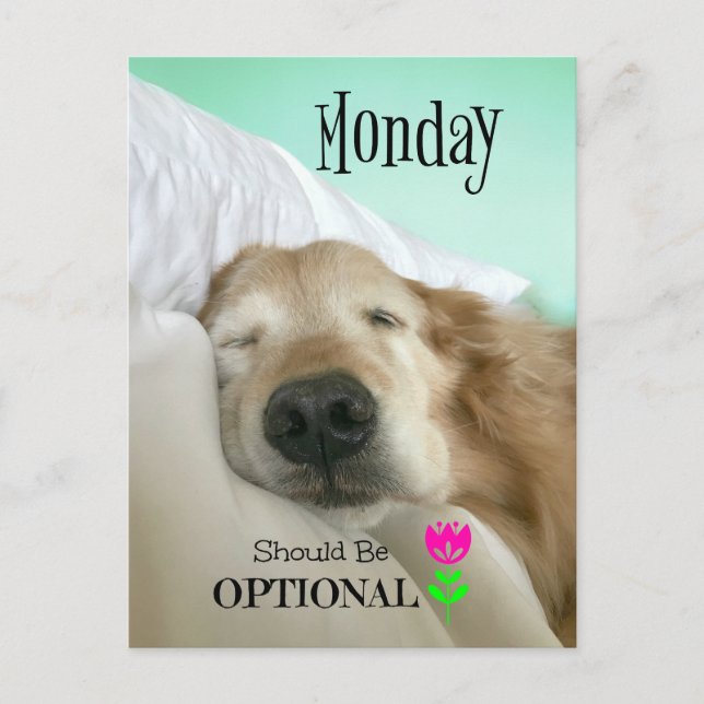 Funny Golden Retriever Monday Should be Optional Postcard (Front)