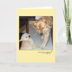 Funny Golden Retriever New Puppy Card