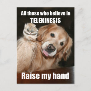 Funny Golden Retriever Telekinesis Carte postale