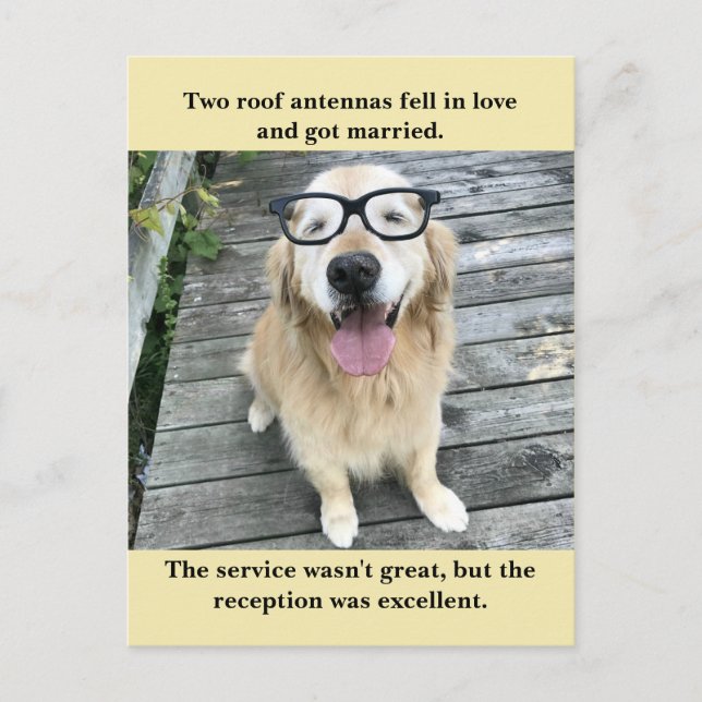 Funny Golden Retriever Wedding Reception Joke Meme Announcement Postcard (Front)