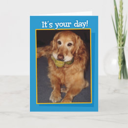 Funny Golden Retriever with Balls  Birthday Card