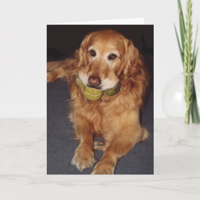 Funny Golden Retriever with Balls  Birthday Card (Front)