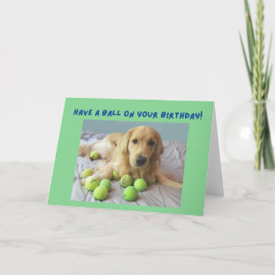 Funny Golden Retriever with Tennis Balls Birthday Card
