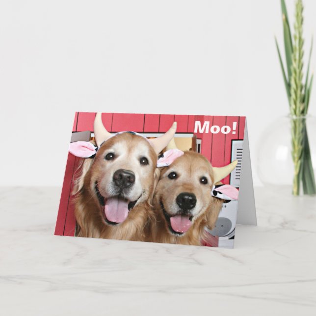 Funny Golden Retrievers in Cow Costumes Halloween Card (Front)