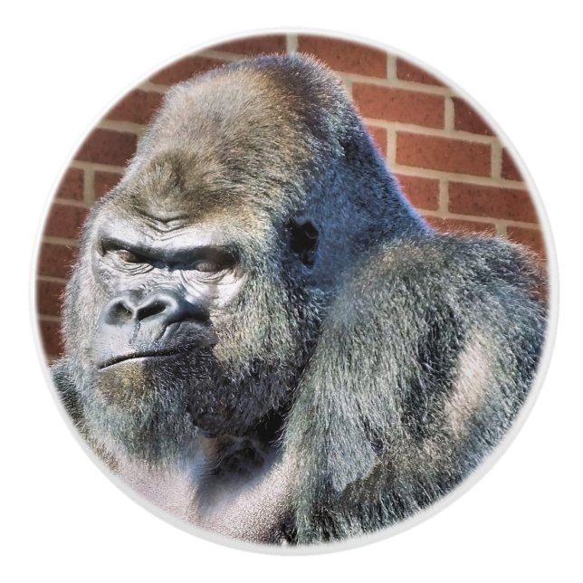 FUNNY GORILLA CERAMIC KNOB (Front)
