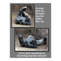 Funny Gorilla, Too Much Weekend Party