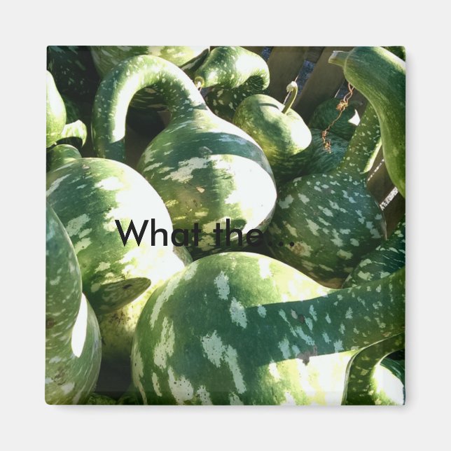 Funny Gourds/ What the...Quote Magnet (Front)